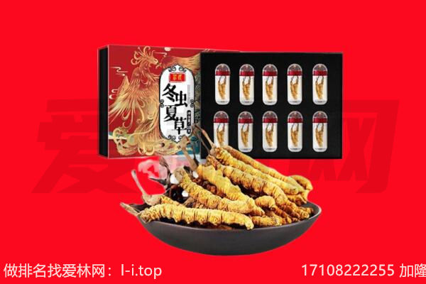 鄂尔多斯市乌审回收虫草.jpg